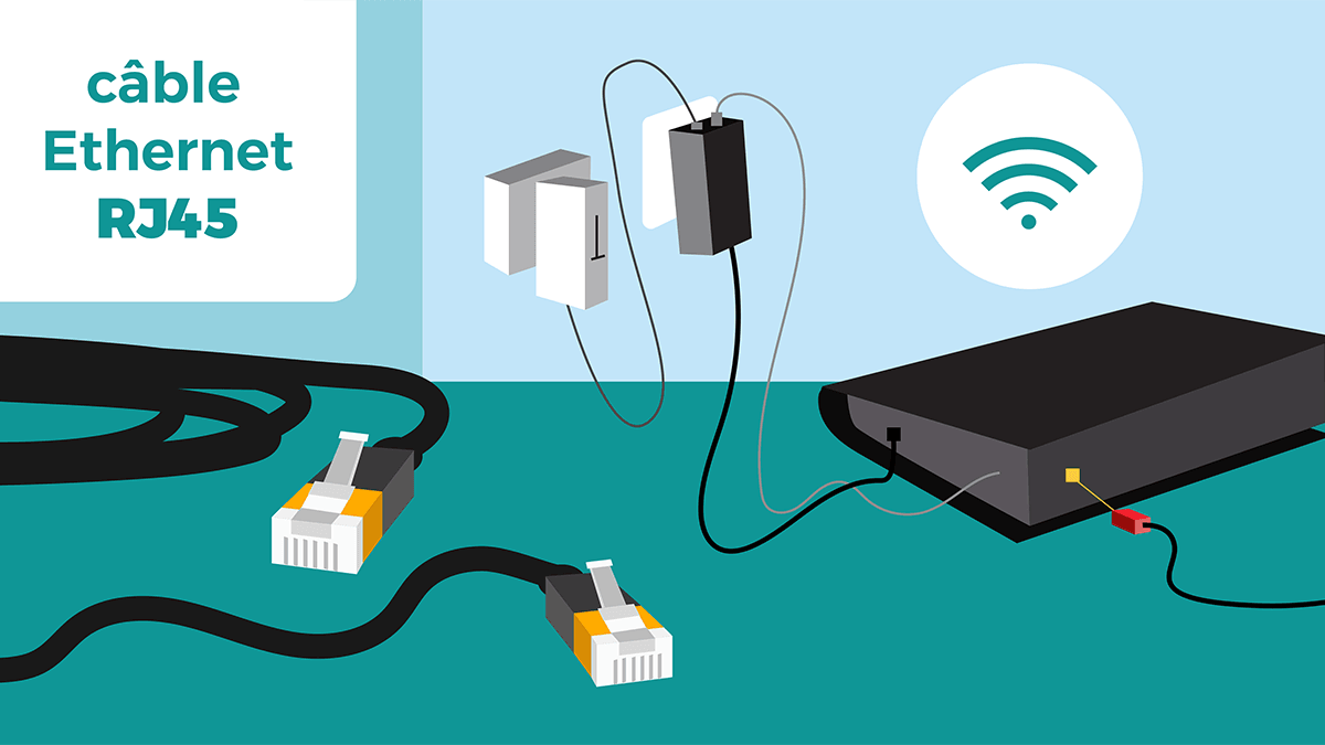 Les différents câbles Ethernet.