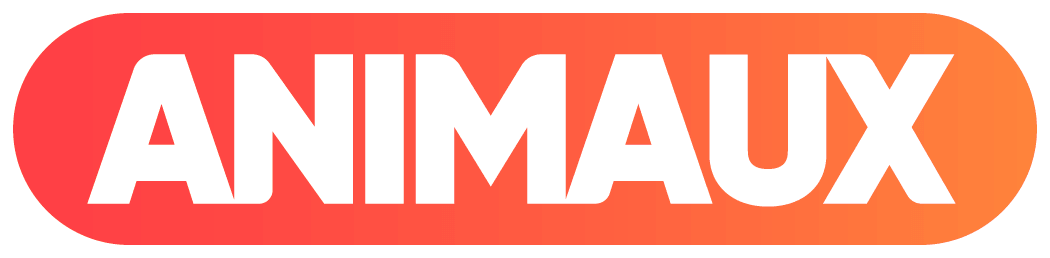 Chaine Tv Animaux Canal Numero Pour Y Acceder Sur Sa Box Internet Chaine Tv Animaux Canal Numero Pour Y Acceder Sur Sa Box Internet