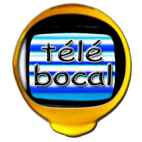 Numéro de chaîne et replay de Télé Bocal