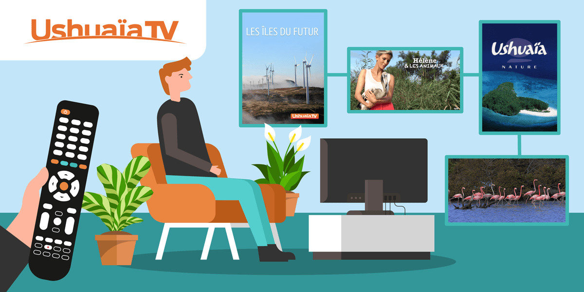 Chaîne Ushuaïa TV quel canal pour y accéder sur sa box