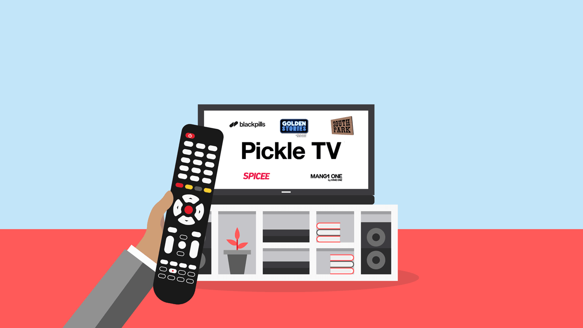 Numéro de chaîne et programme de Pickle TV sur box internet