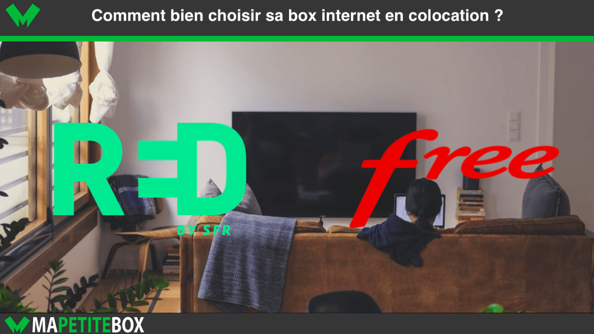 RED by SFR ou Free : quelle box internet en colocation choisir ?