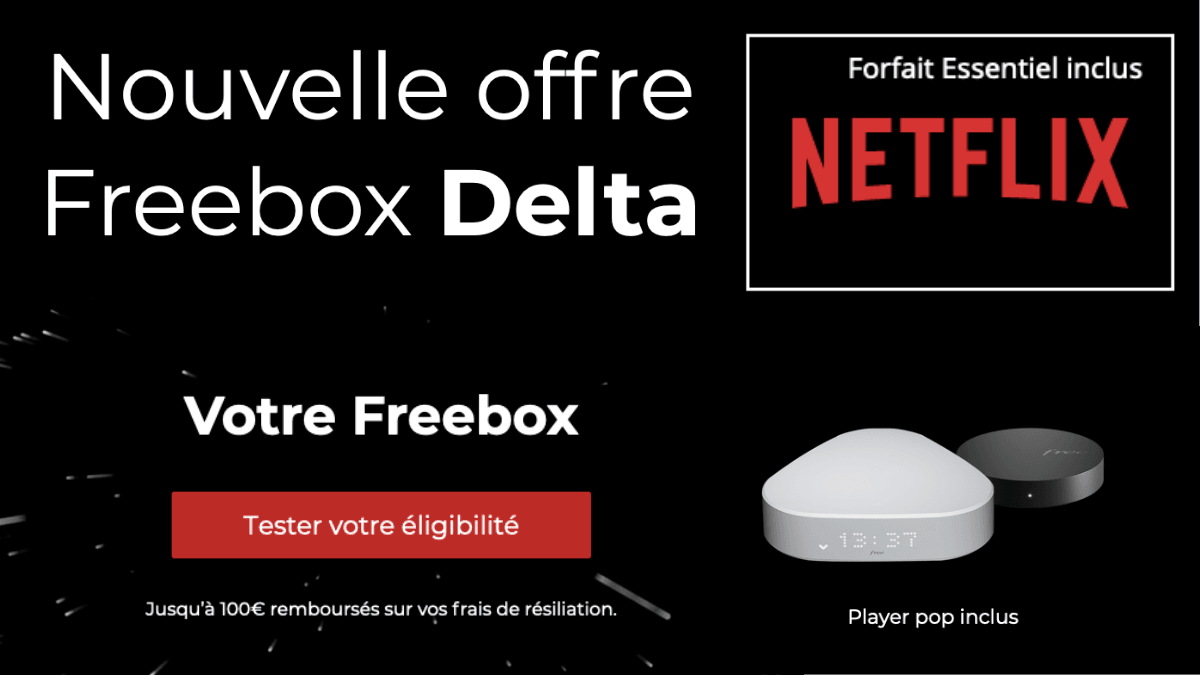 Freebox Delta avec Netflix