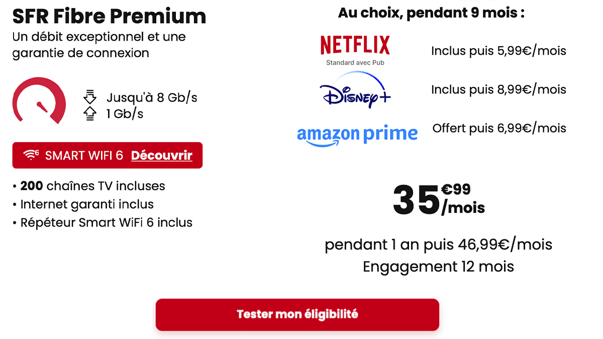 SFR Fibre Premium Netflix