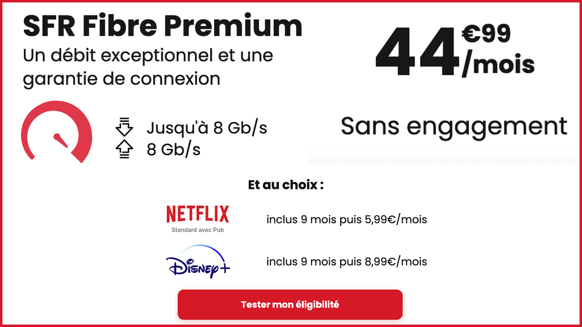 Box internet avec Netflix Fibre Premium