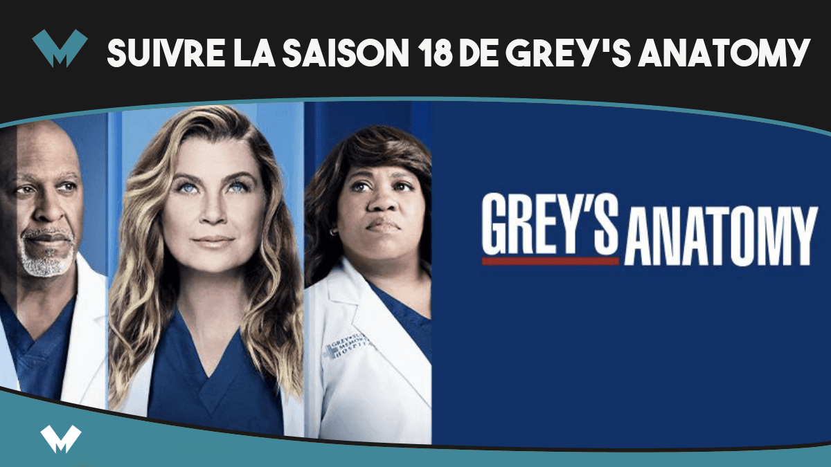 Séries US : La 2e partie de la saison 18 de Grey's Anatomy arrive aux US