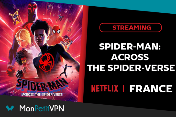 Spider-Man streaming en France