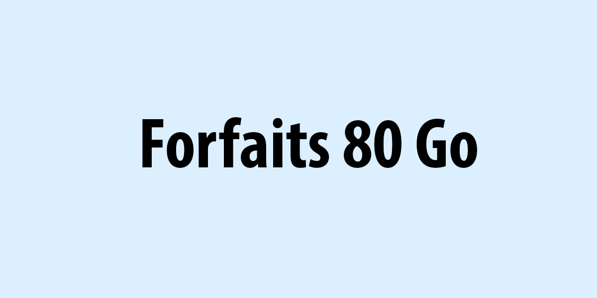 Forfaits 80 Go