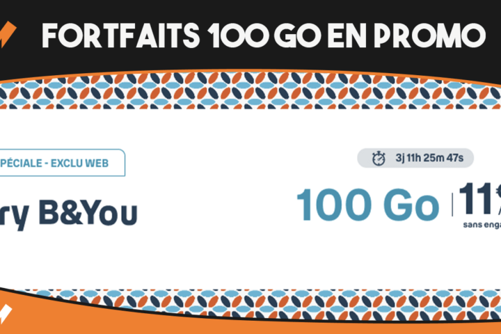 Forfaits 100 Go promo